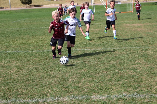 门票收入等 门票收入等