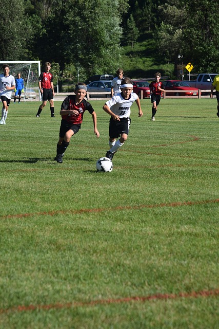 期待这些冰 期待这些冰