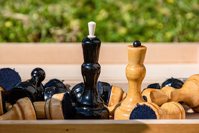 学会如何打 学会如何打