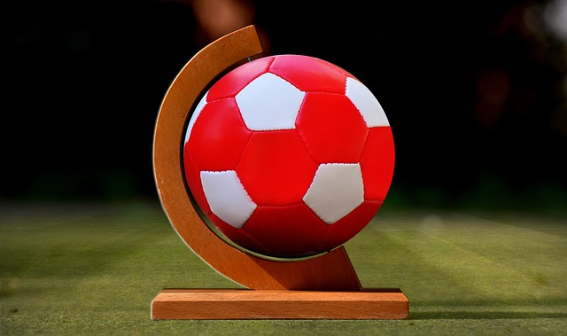 悍将队的外 悍将队的外