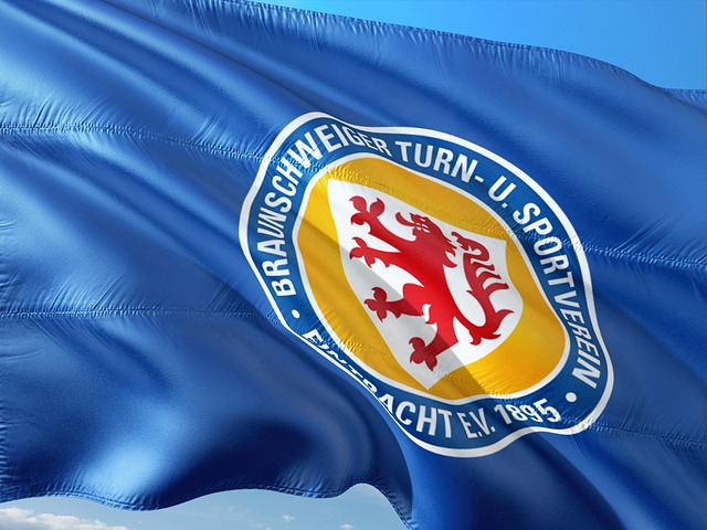 如我们所见 如我们所见