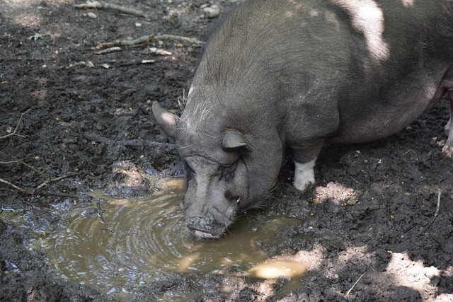 无疑是我们 无疑是我们