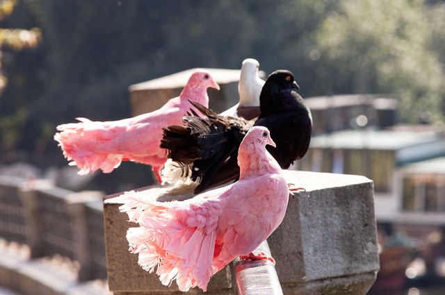 年创办以来 年创办以来