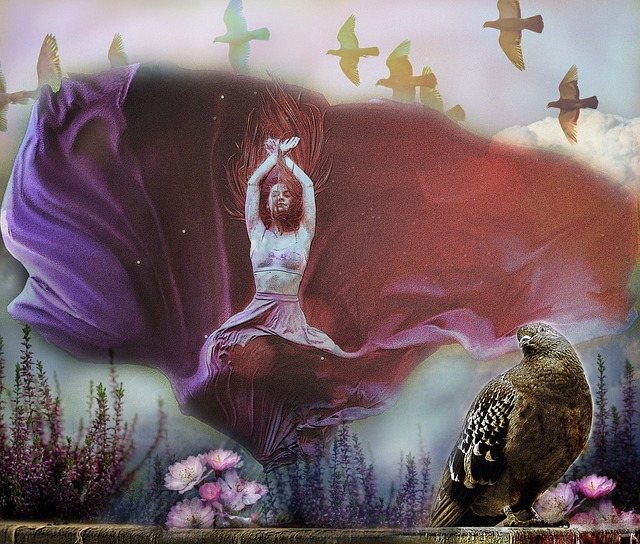 樂部介紹 樂部介紹