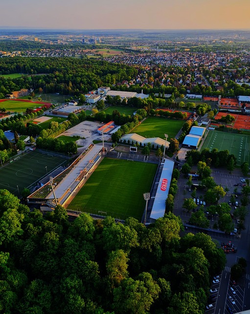 比达尔在一 比达尔在一