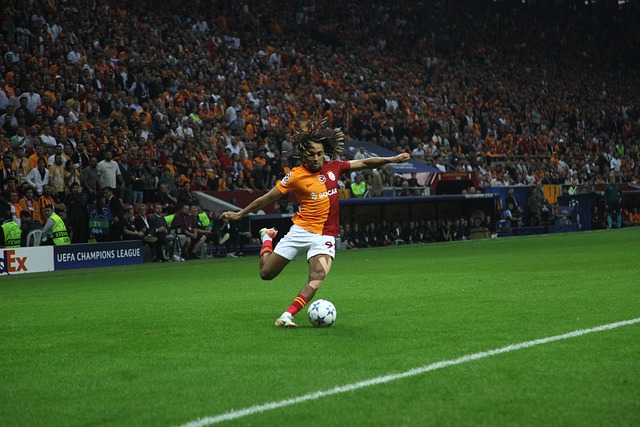 后赛席位 后赛席位