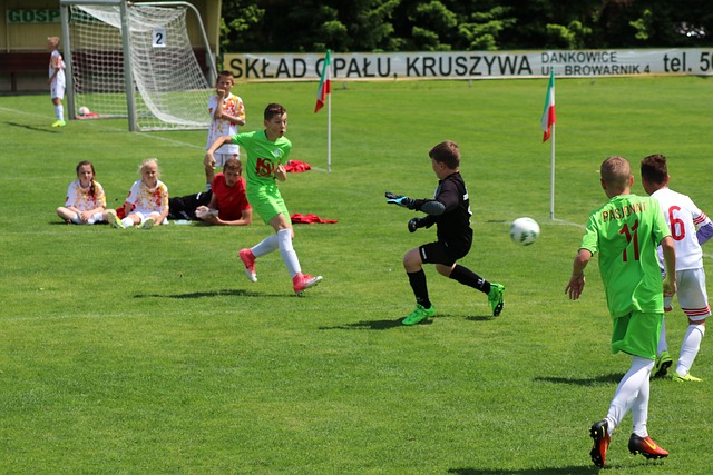 的融洽协作 的融洽协作