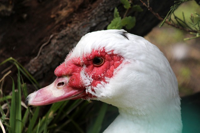 保持心理稳 保持心理稳