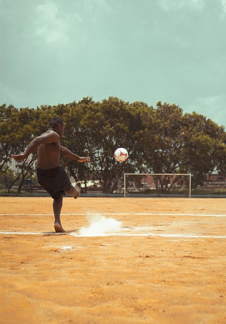 部逐渐成为 部逐渐成为