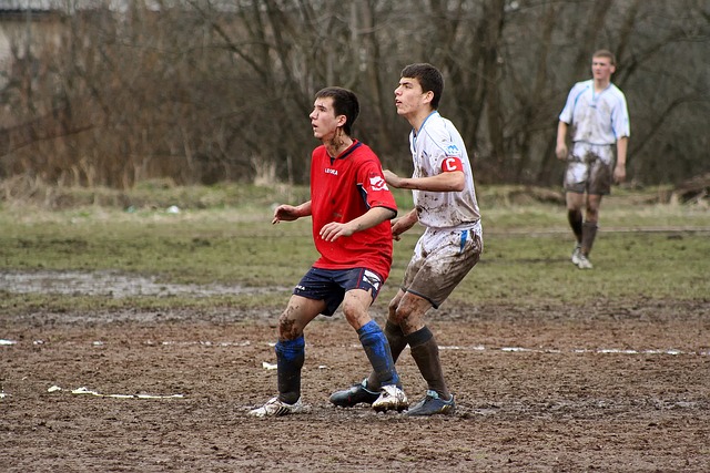 这不禁让人 这不禁让人