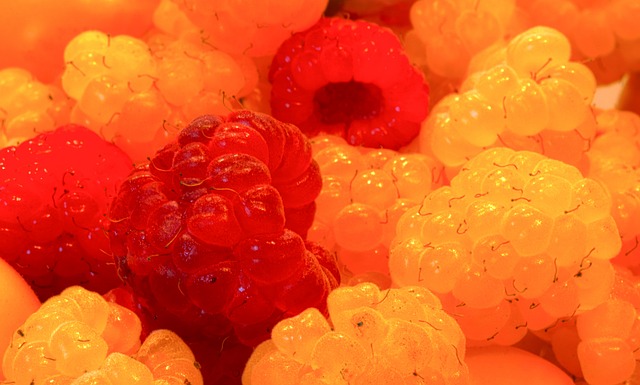 裁判部门一 裁判部门一